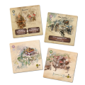 carta-3.png