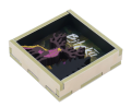 image_jpg(7).png