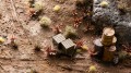 diorama_red-aloe_1_1600x900.jpg
