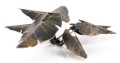 black-magic-taro-3_1600x900.jpg