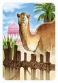 rebel-gra-ekonomiczna-jaipur-wielblad.png