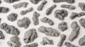 rocky_bits_1600x900.jpg