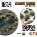 thorny-scrubs-dry-green-spiky-tuft1.jpg