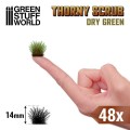 thorny-scrubs-dry-green-spiky-tuft2.jpg