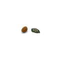 nature-tokens-for-cascadia-25-pieces2.png