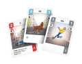 rebel-gra-rodzinna-challengers-druzyna-marzen-asset1.png