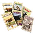 rebel-gra-ekonomiczna-great-western-trail-argentyna-asset2.png
