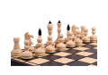 1000wpx_3d75a3882be264529926366259f3d578_webp.png