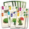 doniczki-zawartosc.jpg