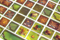 agricola-rodzinna-5.png