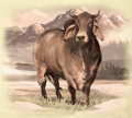 rebel-gra-strategiczna-great-western-trail-kolej-na-polnoc-art2.png