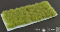 Gamers-grass-dry-green-xl-12mm-wild-arkusz.jpg