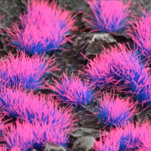 Gamer's Grass Special tufts - Alien Neon Wild (4 mm)