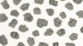 bitsalieninfestation_jpg.png