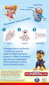 rebel-gra-rodzinna-story-cubes-psi-patrol-tyl-pudelka_jpg.png