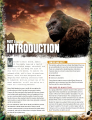 kong1.png