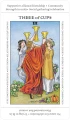 LUNE3wIXPf-APP80_Tarot-Apprentice-deck-2021-U2_e917fe75-7784-4920-a0ed-54d10da0fc45_2048x2048.webp