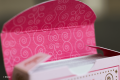 10038679_Bicycle_Disney-Princess-Pink_Alternate-2.png
