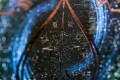 Karty-do-gry-Bicycle-Stargazer-Liczba-kart-w-talii-54.jpg