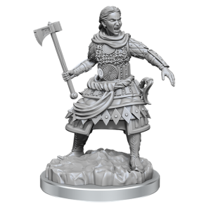 D&D RPG: Nolzurs Marvelous Miniatures - Human Fighters