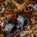 brown_2mm_diorama_900x900.jpg
