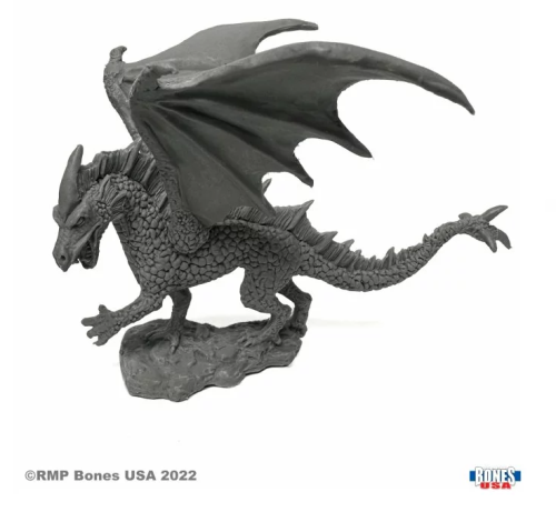 young-ice-dragon_webp.png