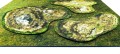 wzgo_rze-6_1.jpg