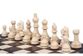 1000wpx_648a2ef6bdeec3e9f8afaf2e37888fd8.webp