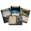 horror-w-arkham-lcg-uczta-w-dolinie-hemlock-rozszerzenie-badaczy (4).jpg