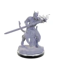 tiefling-warlocks-nolzurs-marvelous-miniatures-774437.webp