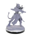 tiefling-warlocks-nolzurs-marvelous-miniatures-695097.webp
