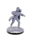 reborn-paladin-warlock-nolzurs-marvelous-miniatures-380987.webp