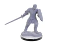 reborn-paladin-warlock-nolzurs-marvelous-miniatures-143694.webp