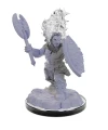 azer-warriors-nolzurs-marvelous-miniatures-979469.webp