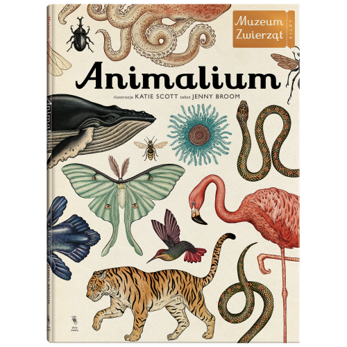 animalium.png