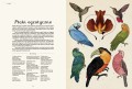 animalium_3.jpg