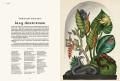 animalium_2.jpg