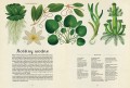botanicum_3.jpg
