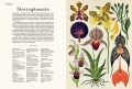 botanicum_2.jpg