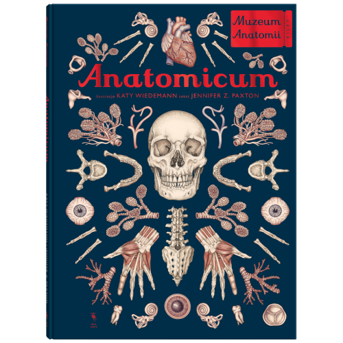 anatomicum.png