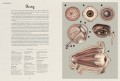 anatomicum_3.jpg