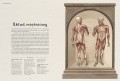 anatomicum_2.jpg