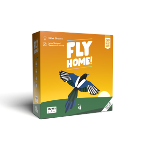 Fly Home (edycja polska)