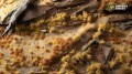 dry5diorama1600x900.jpg