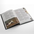 chruch-of-steel-spread-3.jpg