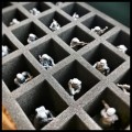 sw-legion-2.jpg