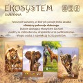 ekosystem3_1.jpg
