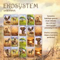 ekosystem3_2.jpg