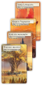 rebel-gra-strategiczna-evenfall-asset4.png