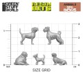 small-dogs (2).jpg